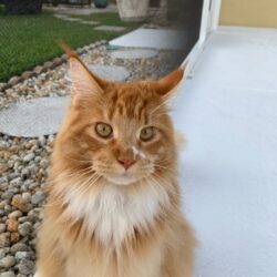 Resized_IMG_9764 (002)